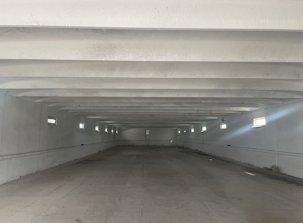 Proprietate industrială de vânzare – 4 hale + birouri + teren generos 
