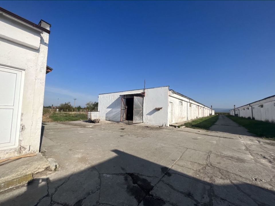 Proprietate industrială de vânzare – 4 hale + birouri + teren generos 