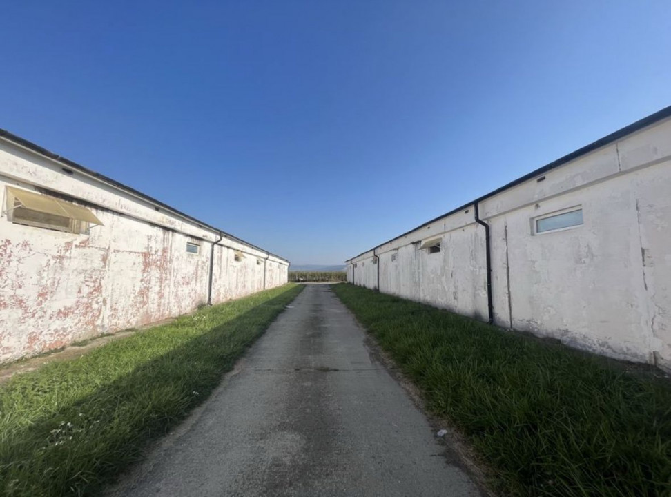 Proprietate industrială de vânzare – 4 hale + birouri + teren generos 