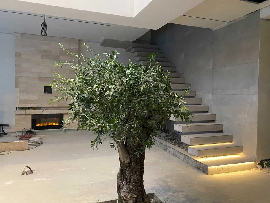 Vila Unică în Corbeanca – Smart Home Complet, Piscină și Terasă 